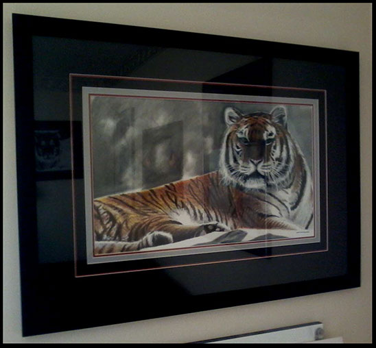 Tiger - Framed Picture For Sale