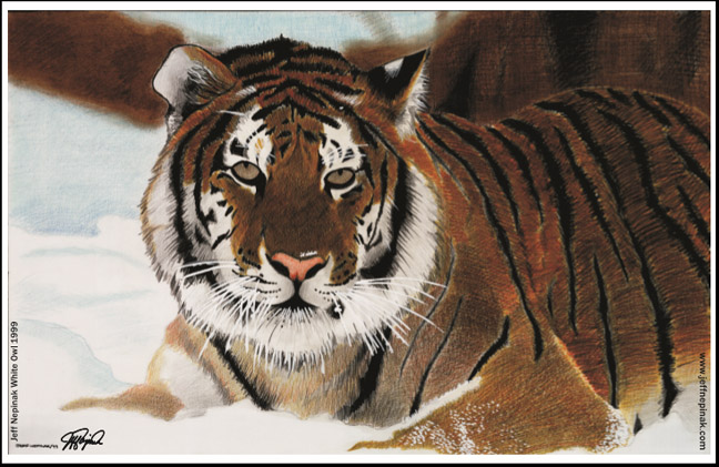 Tiger Print For Sale